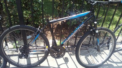 scattante dx350